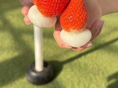 �܂�Ղ� ���������̎ʐ^1