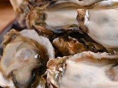 Yuishi����̓��Ƃ��ǂ��������T���[ ���c�w�O�X�̓��e�ʐ^1