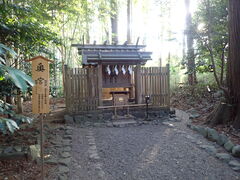 �}�C�a�n�n����̍���_�{�ւ̓��e�ʐ^1