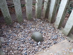 �}�C�a�n�n����̍���_�{�ւ̓��e�ʐ^1