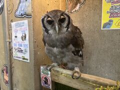 �t�N���E�̑��J�t�F�̎ʐ^1