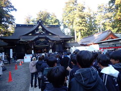 �}�C�a�n�n����̍���_�{�ւ̓��e�ʐ^1