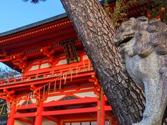 ���񂿂�񂳂�̍��{�_�Ђւ̓��e�ʐ^1