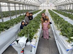 �˂����t�@�[���̎ʐ^1