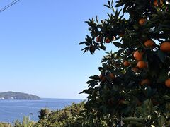 ���񂪂�A�O���p�[�N�̎ʐ^1