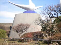 �T���v������̉��{���̎q���w��ւ̓��e�ʐ^1