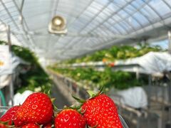 �������_�� �����̎ʐ^1