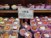 �������̃T���T���������q�F��ʊق̓��e�ʐ^4