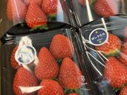 Hiro�����TNfarm�̓��e�ʐ^1