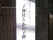 �T���v������̉��{���̎q���w��̓��e�ʐ^11