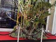 MOG����̕i��v�����X�z�e�� LUXE DINING HAPUNA�̓��e�ʐ^1