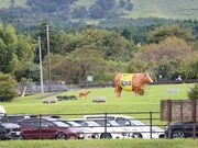 �������̓��̉w �����]�̋� �����̂̓��e�ʐ^4