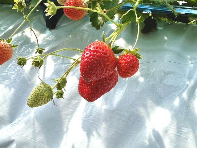 ������_���݂���������