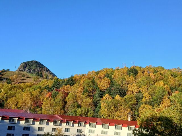 �����̂肳��̎u�ꍂ���̍g�t�̓��e�ʐ^1