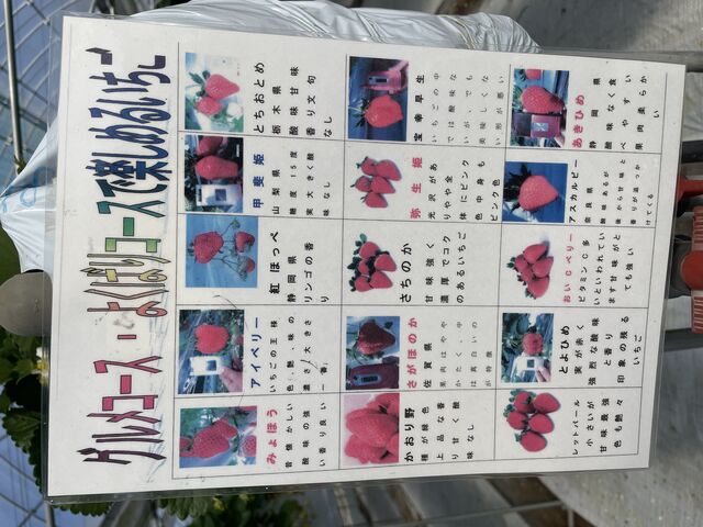 �i��ꗗ_�������̉���