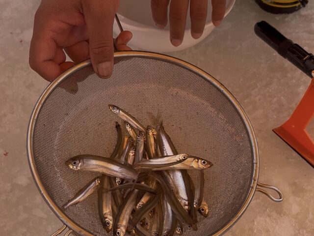 �J�E���g����킩����_�A�[�X�A�E�g�h�A�c�A�[�Y �D�y�X