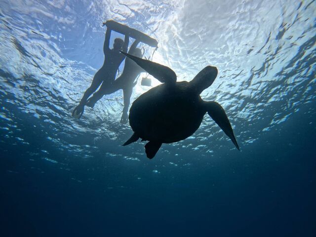 �������Ԉꏏ�ɉj�����Ƃ��o���܂����B_���܂�����