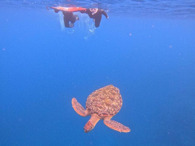 �ƂĂ������I�ł����B_���܂�����