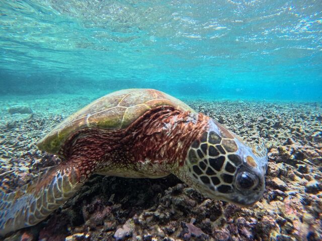 �E�~�K��_�}�[���{�Ó�