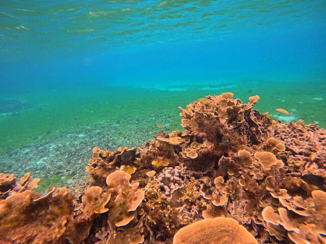 �T���S��_�}�[���{�Ó�