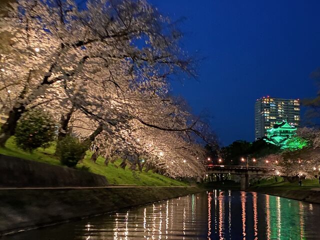 �����ƍ��̃��C�g�A�b�v_����鉺�M������