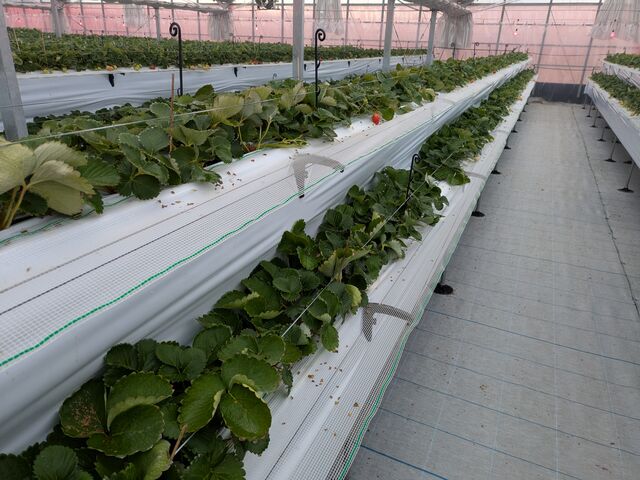 9��30���ł���ł�_�Ƃ悭�ɂӂ��[�ފό��_��