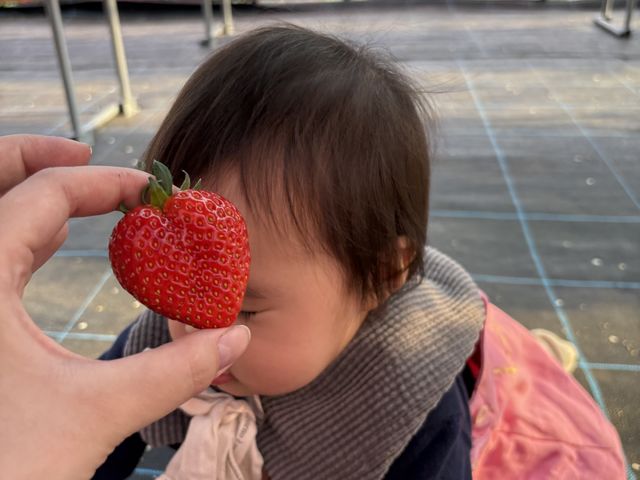 �n�[�g�̌`�̂������I�n�C�n�C�����Ă��������Ǝv�����Y��Ȓn��_�܂��܉�