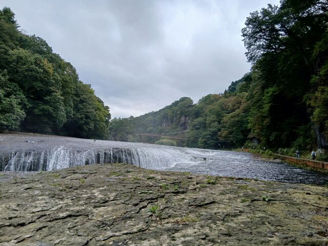 �g�t���i�߂΂����Ɨǂ��i�ς�������ł��傤_�����̑�