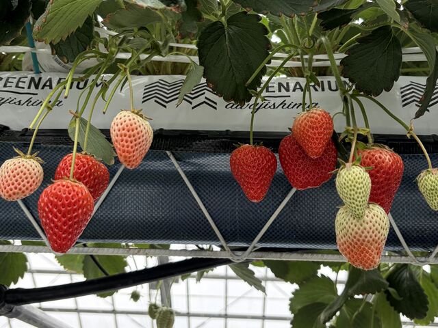 �H�ׂ�̂��Z�����A���܂�ǂ��ʐ^���L��܂���ł���_goone5