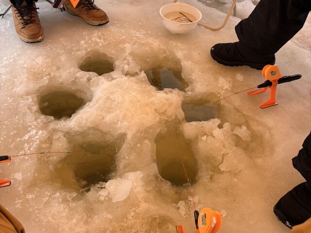 �ނ��͂���Ȋ����ł��B_�A�[�X�A�E�g�h�A�c�A�[�Y �D�y�X