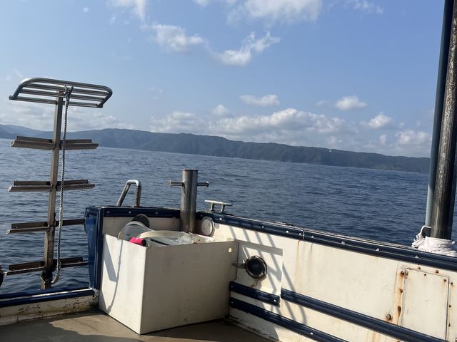 �N�W���������Ȃ�_�܂�񂷂ہ[���܂�