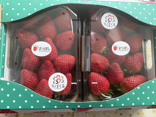 �C�`�S���̂��������ǂ��������ǂ�����͔������Ĕ��������ăT�C�R�[�ł���_���΂���t�@�[��