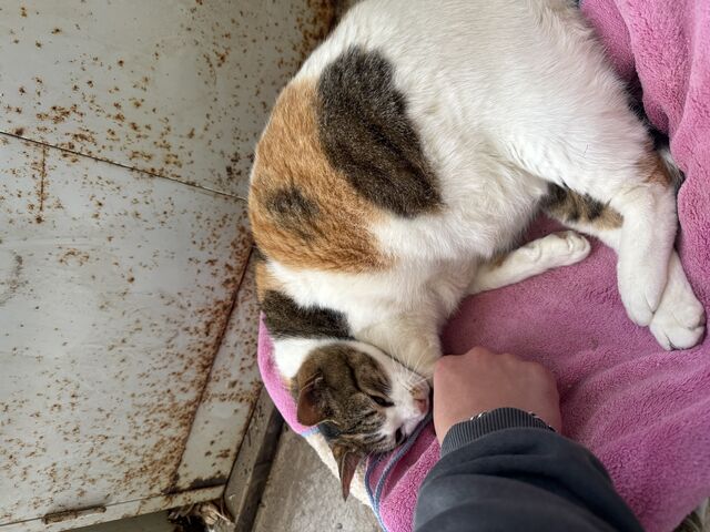 �j������_OISO�@��n�@�N���u