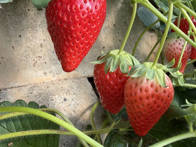 �傫�Ȃ��������������񂠂�܂����I_���ǉ�