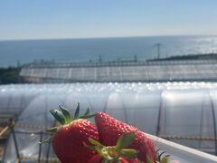 ��������̂Ȃ������ւ̓��e�ʐ^1