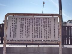 たっちゃんさんの愛宕神社のケヤキへの投稿写真1