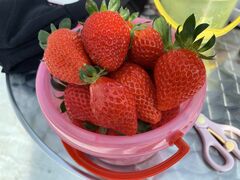 �܂�D������̂������̉����ւ̓��e�ʐ^1