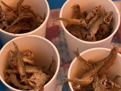 �A�[�X�A�E�g�h�A�c�A�[�Y �D�y�X�̎ʐ^1