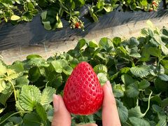 ���̉w�Ƃ݂�����f��y���̎ʐ^1