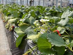 ���̉w�Ƃ݂�����f��y���̎ʐ^2