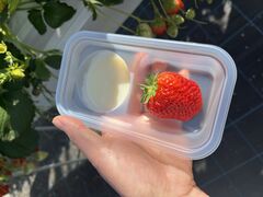 T-FARM 2���X�̎ʐ^1