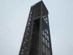 �g�V���[����̕l���΃K�[�f���p�[�N�W�]���ւ̓��e�ʐ^1