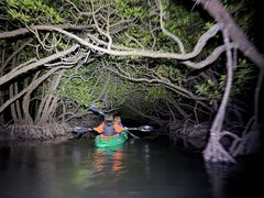 marinemate Luana�̎ʐ^2