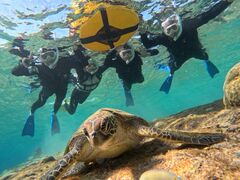 �e�B�i�����COCO�{�Ó��ւ̓��e�ʐ^1