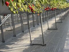 Refarm YOSHIMI 370�̎ʐ^1