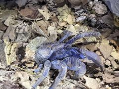 Nami�{�Ó��̎ʐ^1