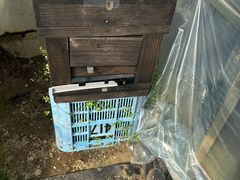 ���R�t�@�[���̎ʐ^4