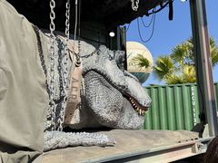 �͂܂����JUNGLIA OKINAWA(�W�����O���A����)�ւ̓��e�ʐ^1