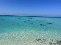 �{�Ó��ό��ݐ؃K�C�h �앗�̎ʐ^1