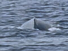 South to South�̎ʐ^1